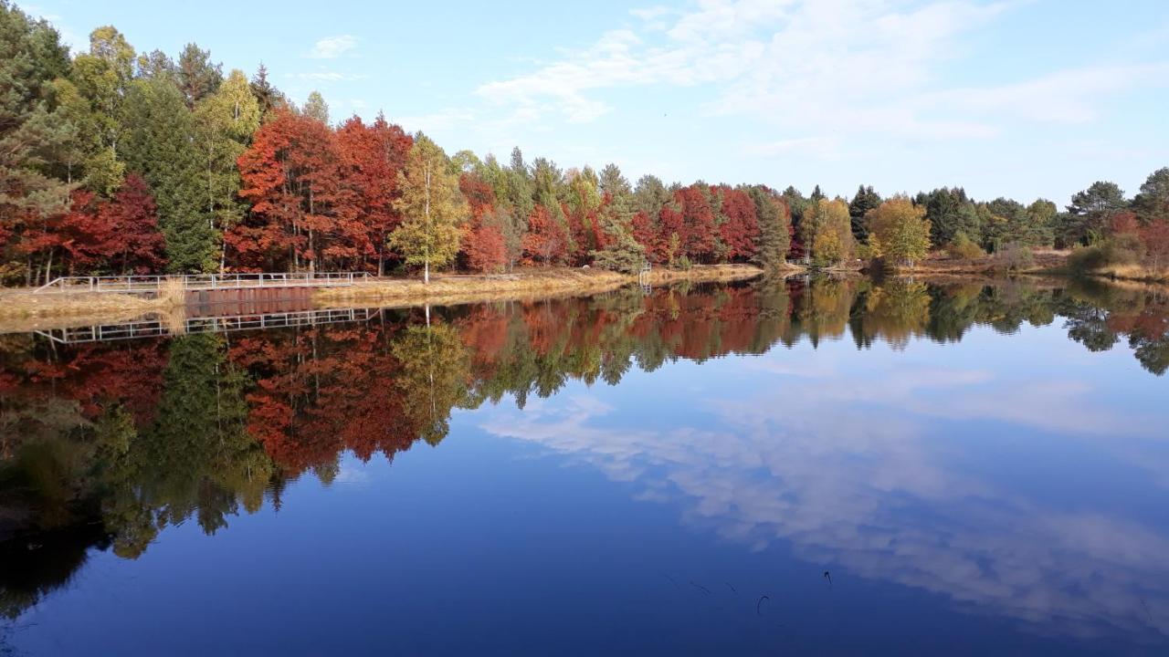 Naturhotel Hof Ehlers Берген Екстериор снимка