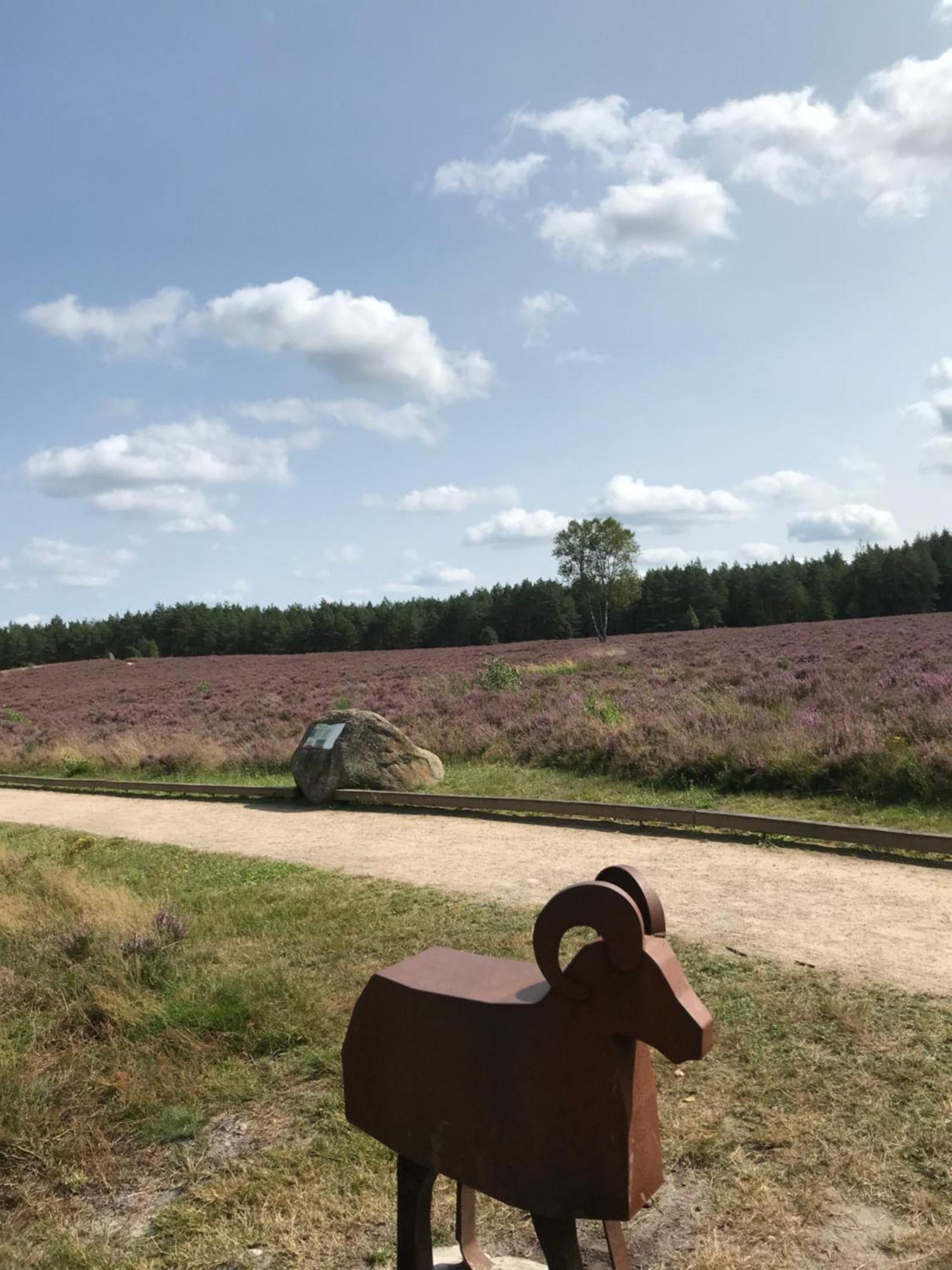 Naturhotel Hof Ehlers Берген Екстериор снимка